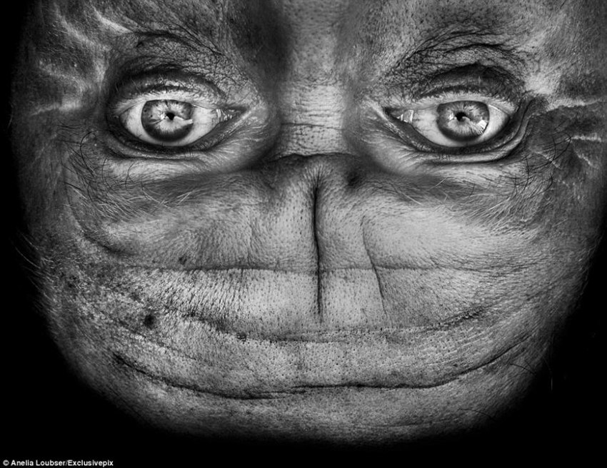 ?? ?? ??? ??? ??…???? ????