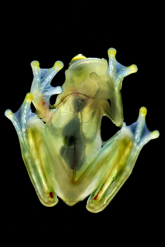 ??? ??? ?? ??? ???? ???? ??