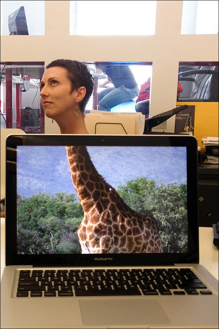 英 ??? ???? ??, ?? ??? ?? ??