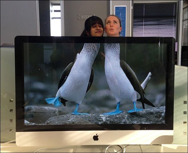 英 ??? ???? ??, ?? ??? ?? ??