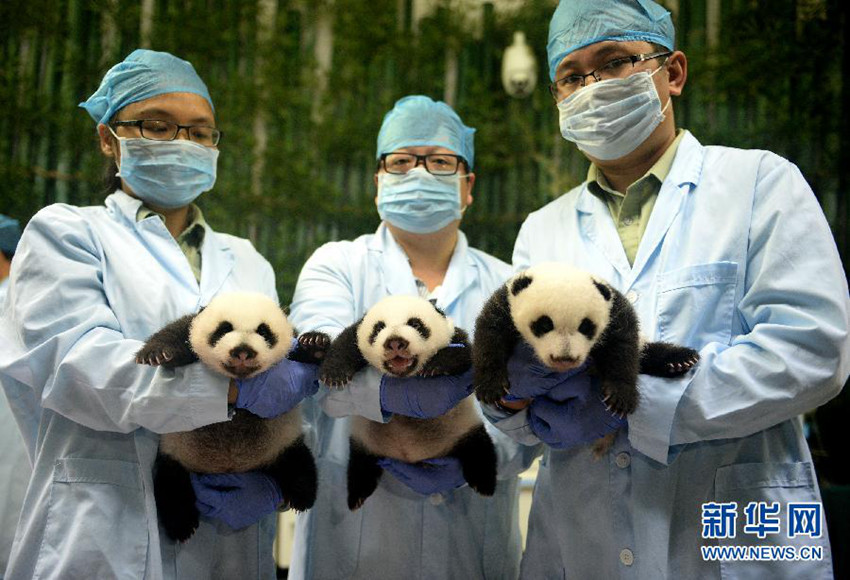 ?? ??? ?? ???? ???? ??, ?? ?? ??