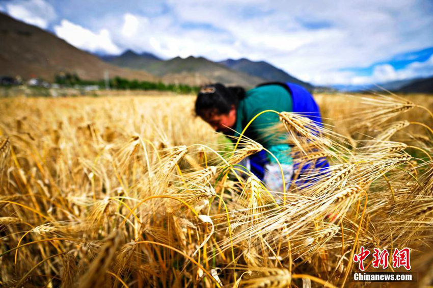 ‘??? ??’ ????? ?? ?? ??