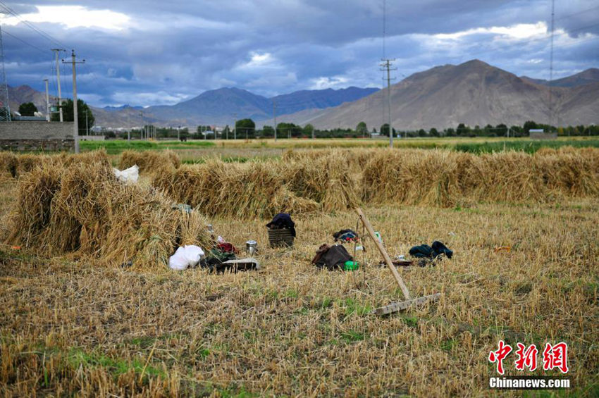 ‘??? ??’ ????? ?? ?? ??