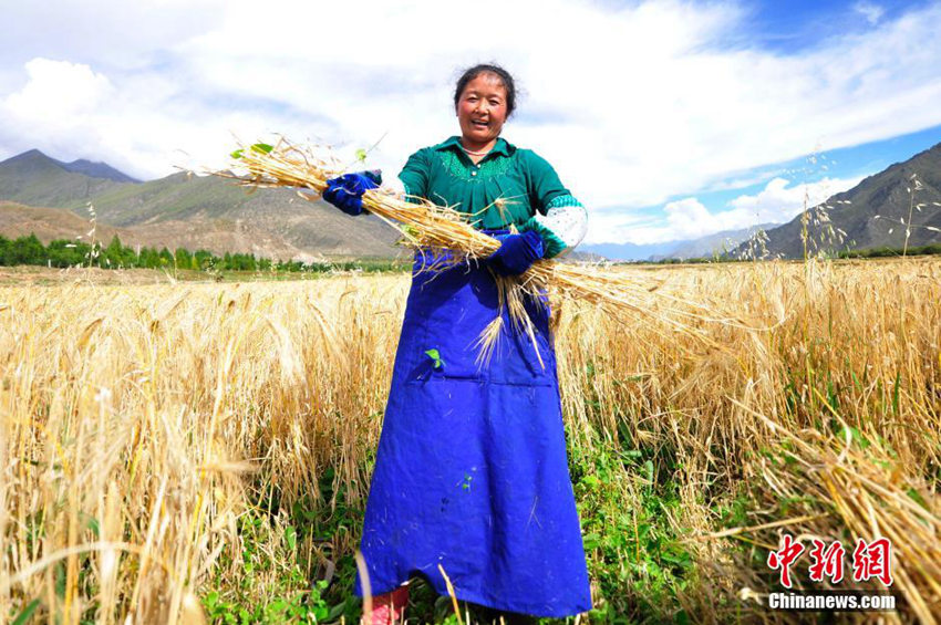 ‘??? ??’ ????? ?? ?? ??