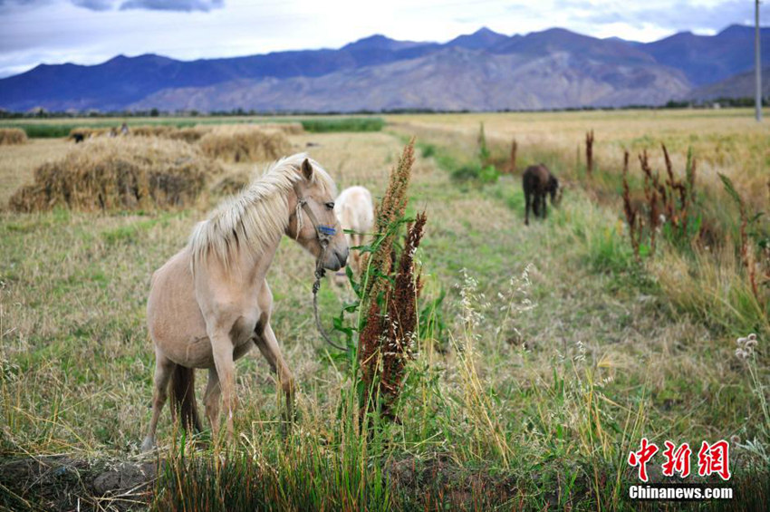 ‘??? ??’ ????? ?? ?? ??