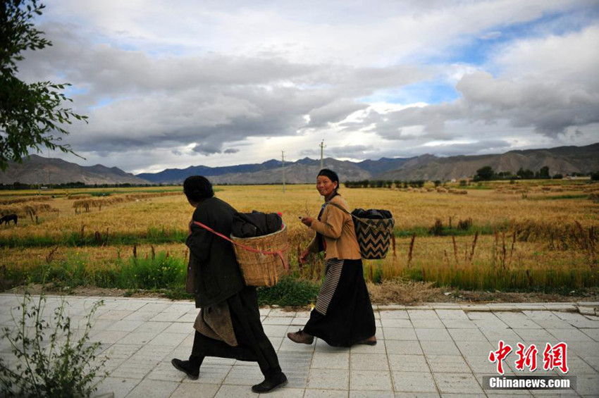 ‘??? ??’ ????? ?? ?? ??