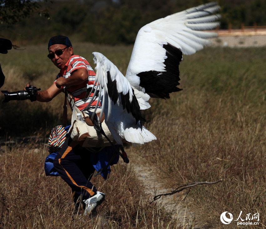 ??? ???? ?? ? ??? ??? ?? ??