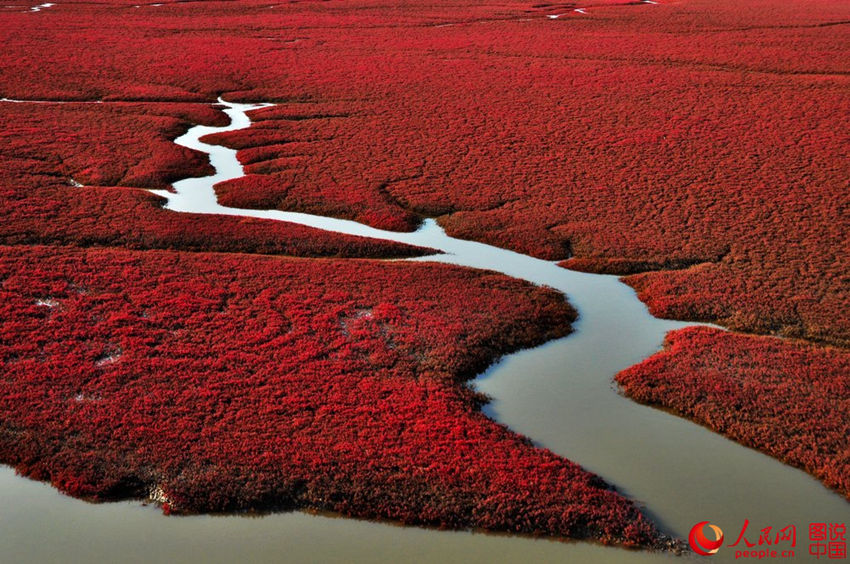 ???? ‘?? ??’ ????, ??? ?? ?? 