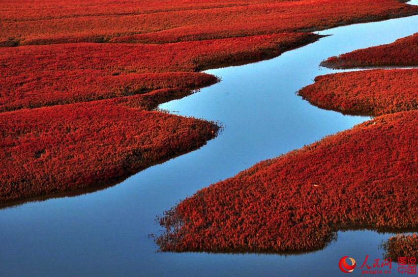 ???? ‘?? ??’ ????, ??? ?? ?? 