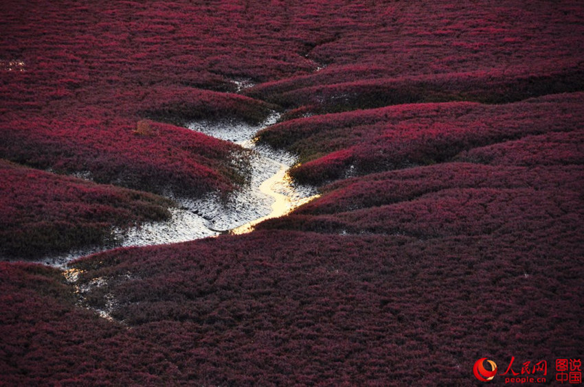 ???? ‘?? ??’ ????, ??? ?? ?? 