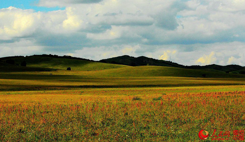 ???? ???? ??…?? ?? ?? ???