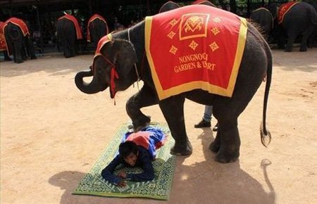 ?? ?? ??, ????? ‘?? ? ??’