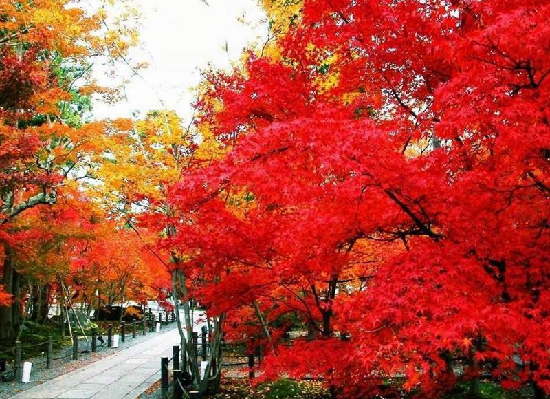 ??? ?? ???? 370? ?? ??? ??