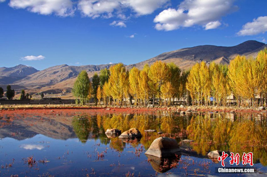 ??? ????? ??, ?? ?? ???? ??!