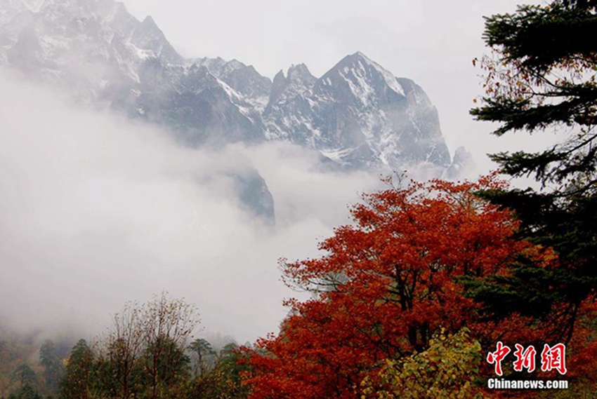 ?? ???? 10?1? ??, ??? ??? ?? ?? 