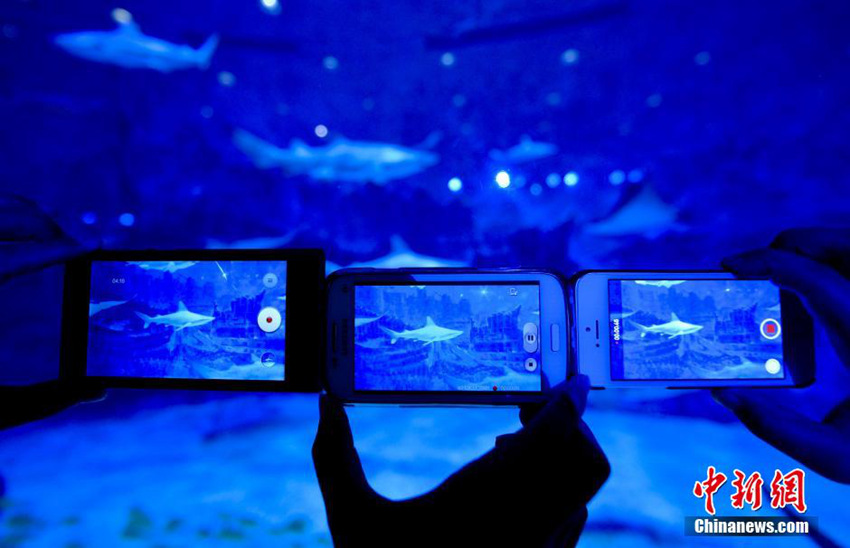 ??? ??? ?? ?? ?? ??, ??? ??