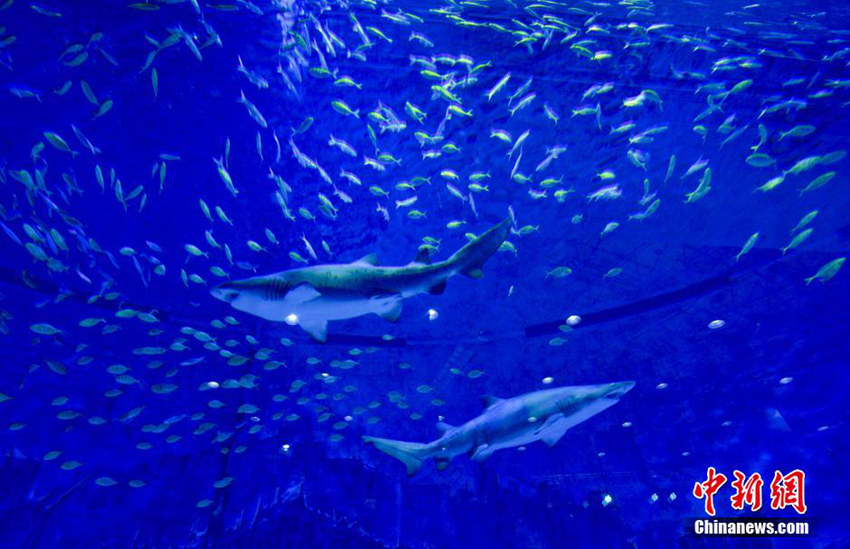 ??? ??? ?? ?? ?? ??, ??? ??