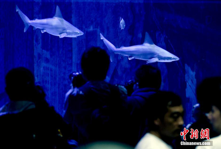 ??? ??? ?? ?? ?? ??, ??? ??