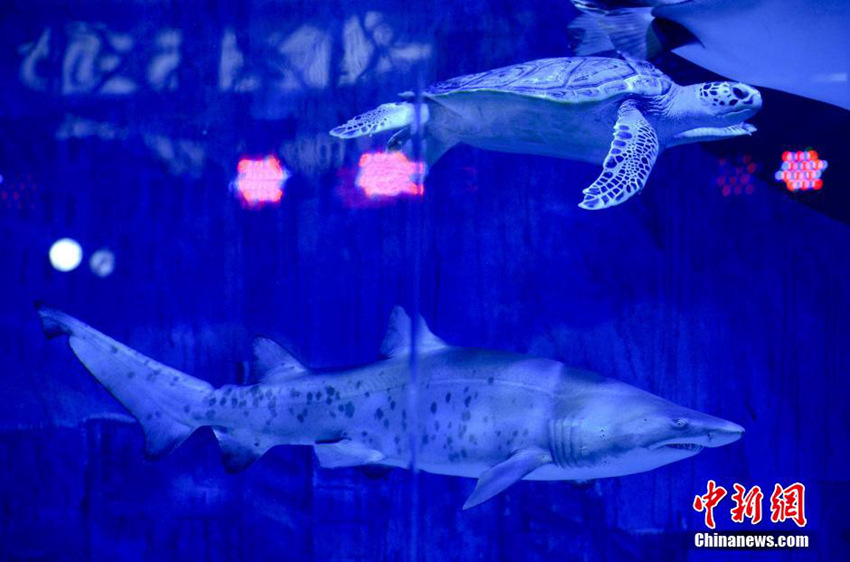 ??? ??? ?? ?? ?? ??, ??? ??