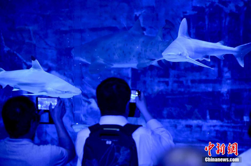 ??? ??? ?? ?? ?? ??, ??? ??