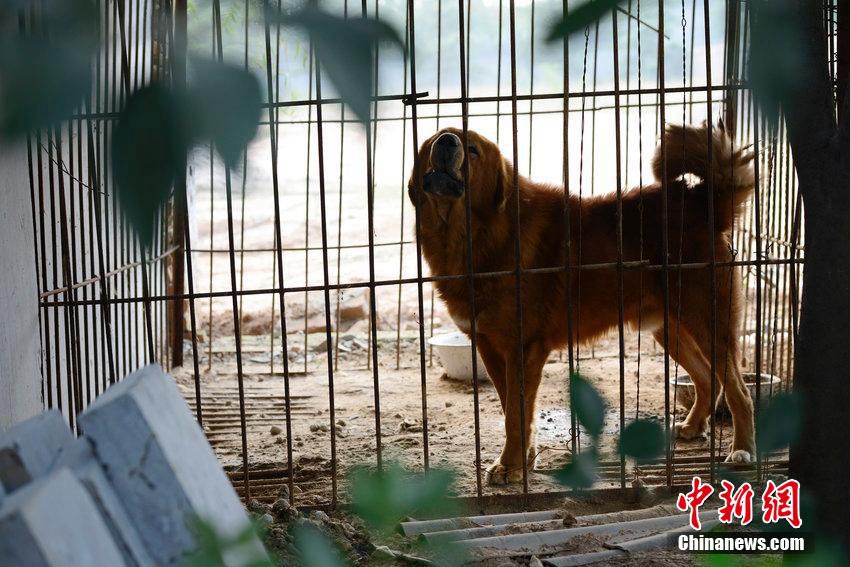 [???? ??] ?? 80後 ?? ??????