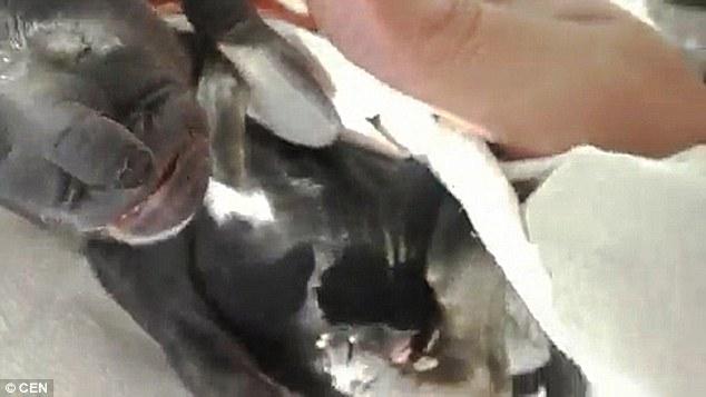 ??? ?? ??, ‘??? ?’ ??? ?? 