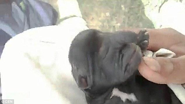 ??? ?? ??, ‘??? ?’ ??? ?? 