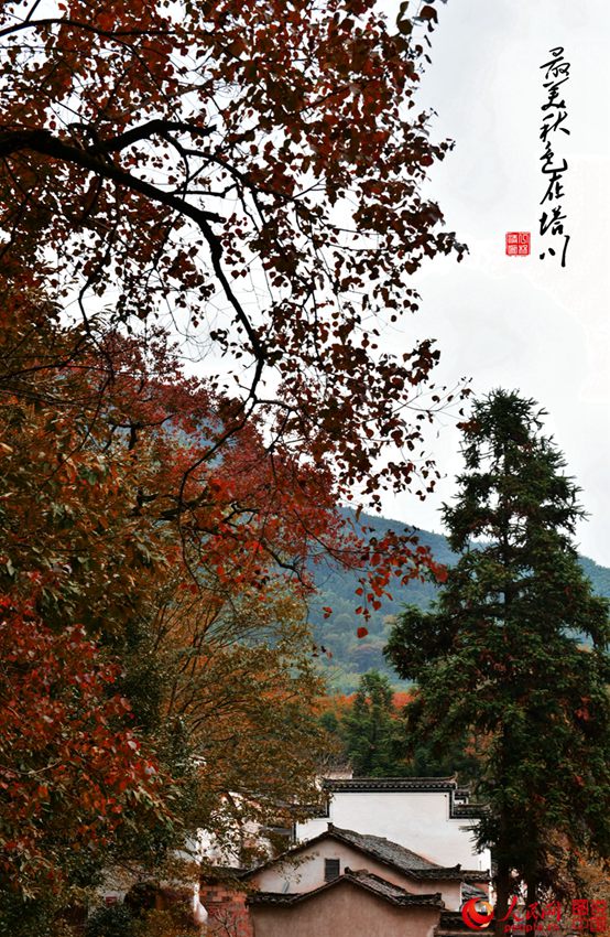 ?? ???? ??? ?? ? ?? ??(塔川) 