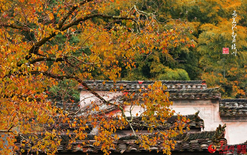 ?? ???? ??? ?? ? ?? ??(塔川) 