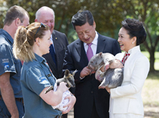 ???, ????? ?? ???? ??