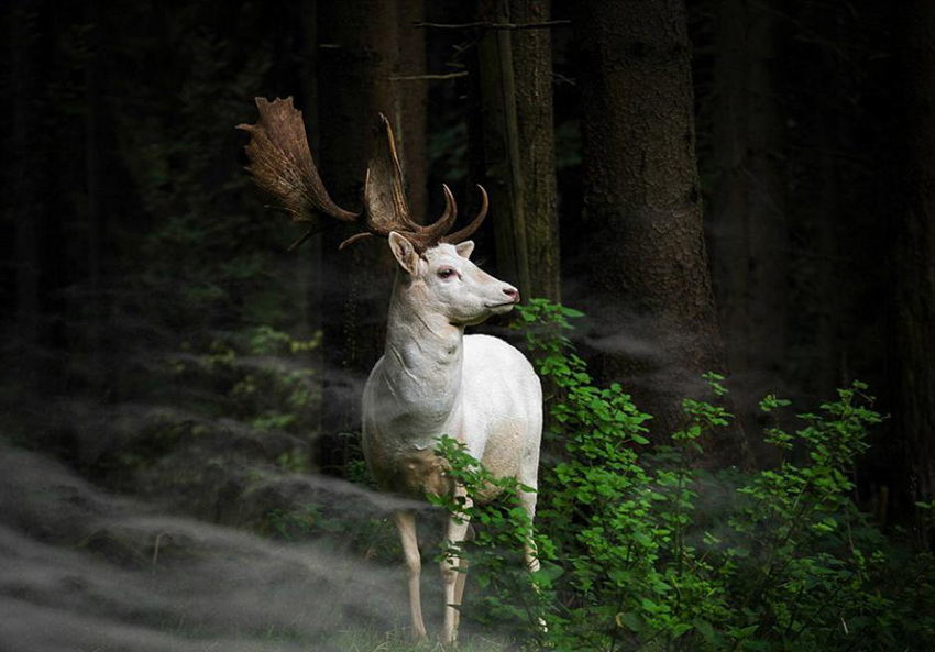 2015? ?? ?? ????? ??? ??? ???