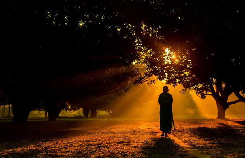 2015? ?? ?? ????? ??? ??? ???