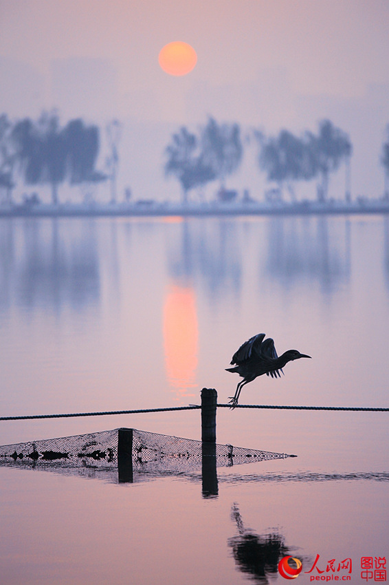 ??? ???, ???? ???? ?? ??