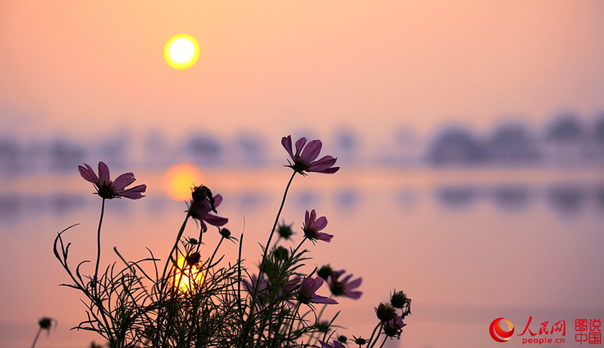 ??? ???, ???? ???? ?? ??