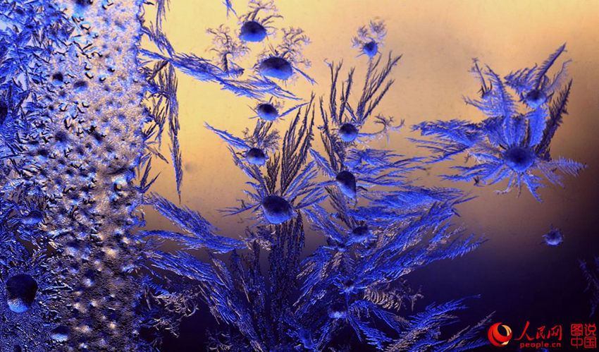 ?? ????? ?? ? ?? ‘???’ ??