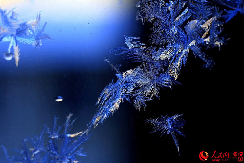 ?? ????? ?? ? ?? ‘???’ ??