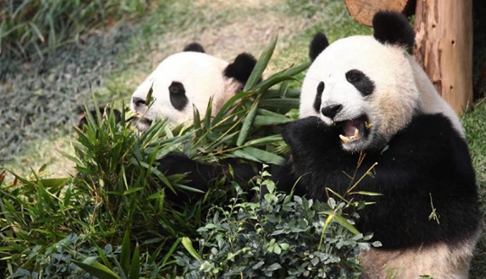 中 ????, ?????? ?? ?? ???? ??