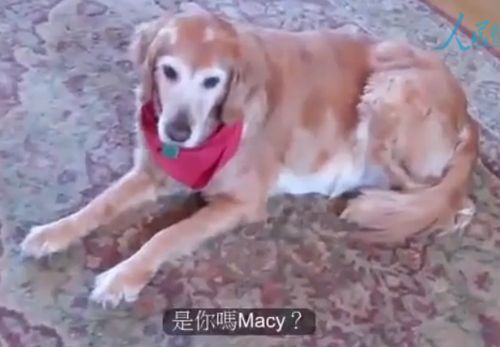 ??? ?? ?? ?? ? “? ??? ????” 