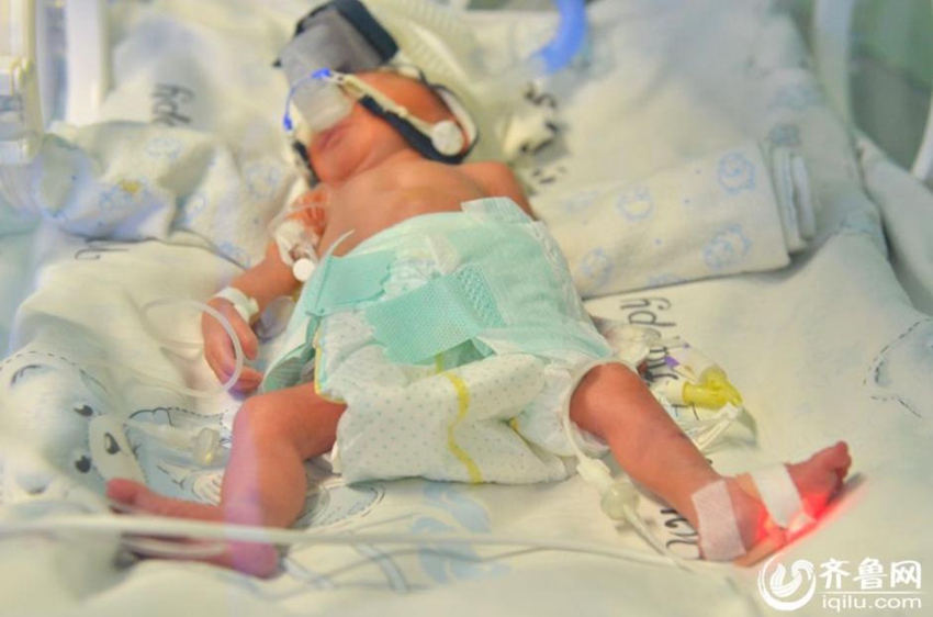 ?? ??? ????? ??, ?? ?? ?? ?? 500g