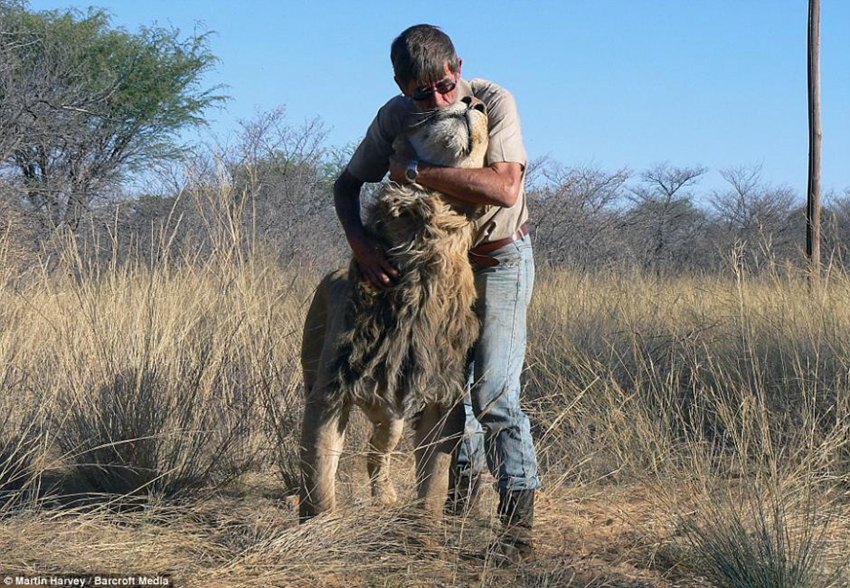 ????? ?? ???, ???? 11? ? ??