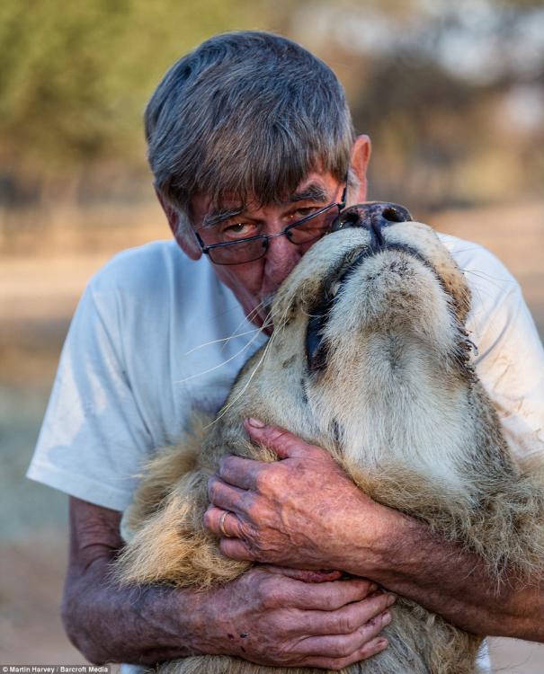 ????? ?? ???, ???? 11? ? ??