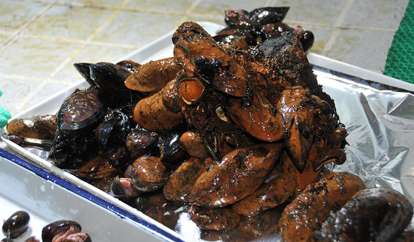 ?? ??? ????, ??? ???? ‘???’