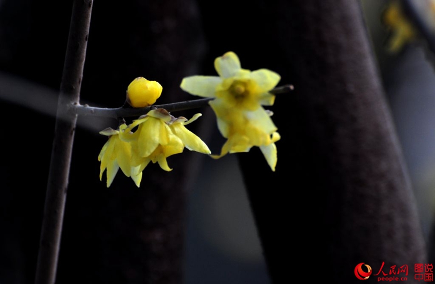 ?? ??? ?? ?? ??, ‘????’? ?? ??