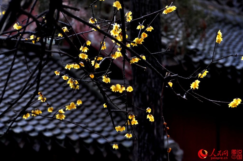 ?? ??? ?? ?? ??, ‘????’? ?? ??