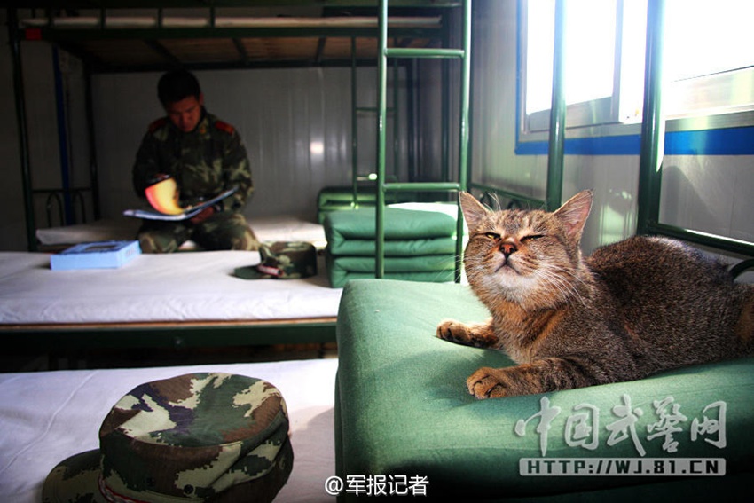 ?? ?? ?? 15?? ?? ?? ??