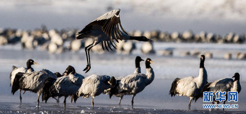 ?? ?? ???? ??? ??? ????? ??