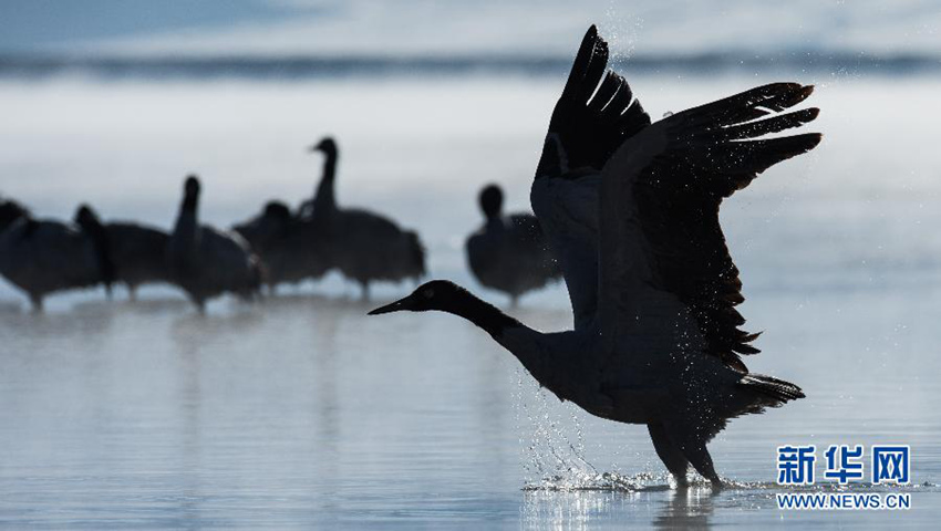 ?? ?? ???? ??? ??? ????? ??