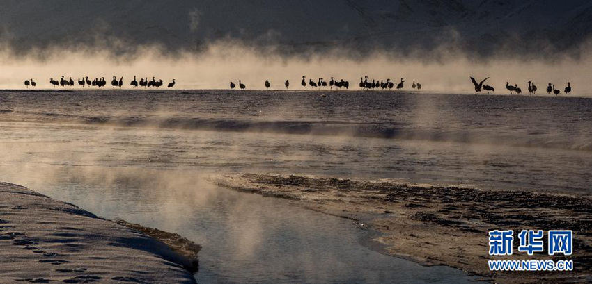 ?? ?? ???? ??? ??? ????? ??