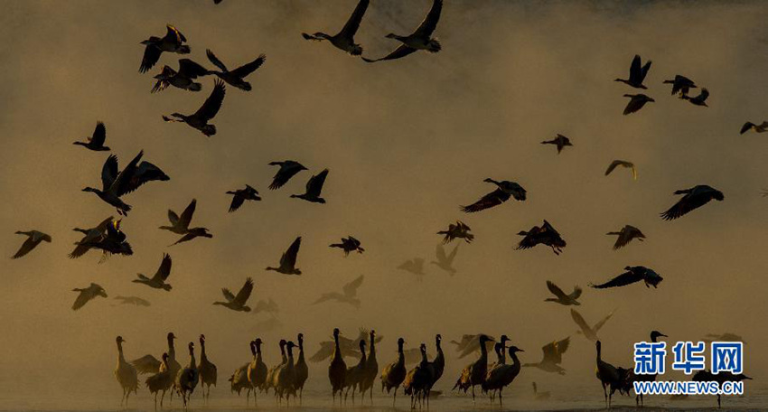 ?? ?? ???? ??? ??? ????? ??