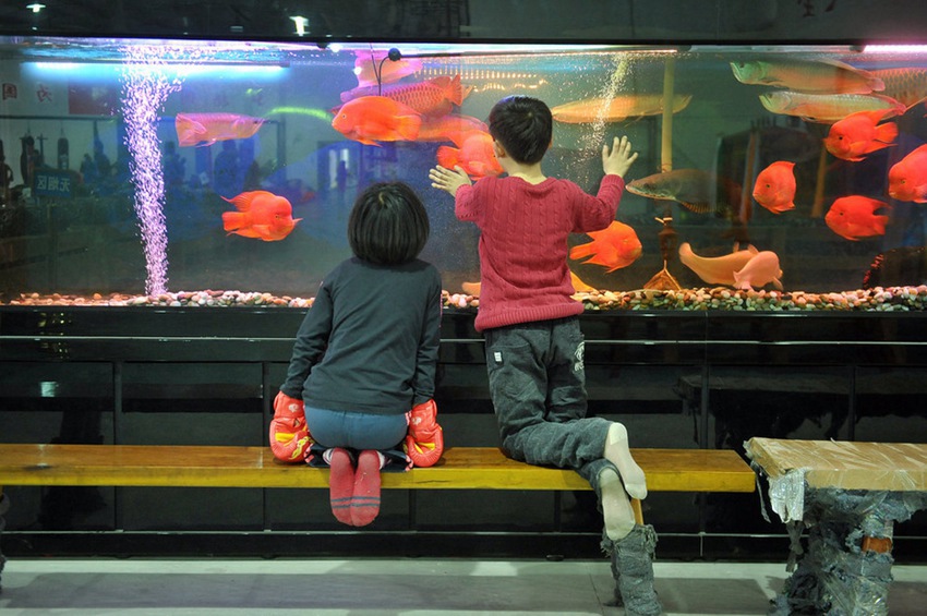 ??? ?? ?? ???? ?? ????